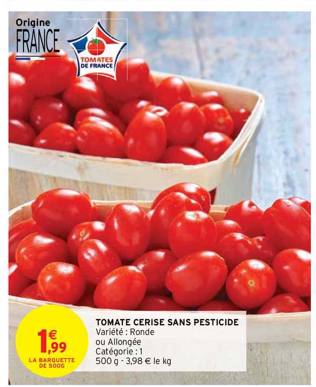 tomate cerise sans pesticide
