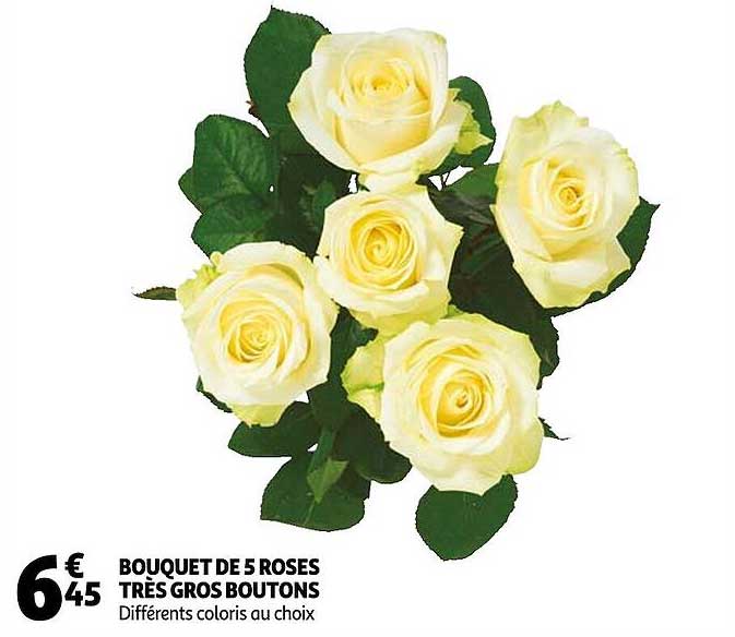 bouquet de 5 roses très gros boutons