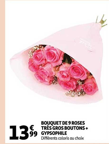 bouquet de 9 roses très gros boutons + gypsophile