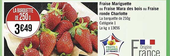 fraise mariguette ou fraise mara des bois ou fraise ronde charlotte