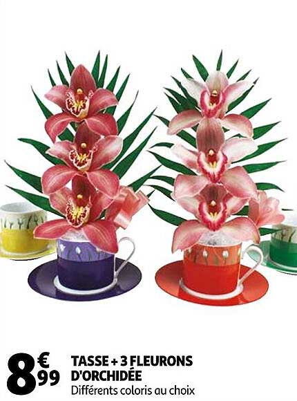 tasse + 3 fleurons d'orchidée