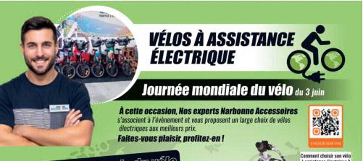 vélos à assistance électrique