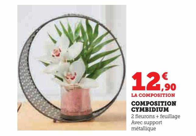 composition cymbidium