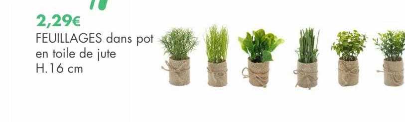 feuillages dans pot en toile de jute h. 16 cm