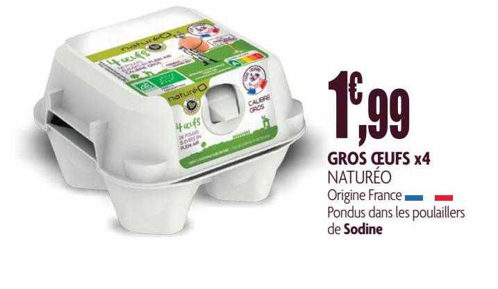 Gros œufs X 4 Naturéo