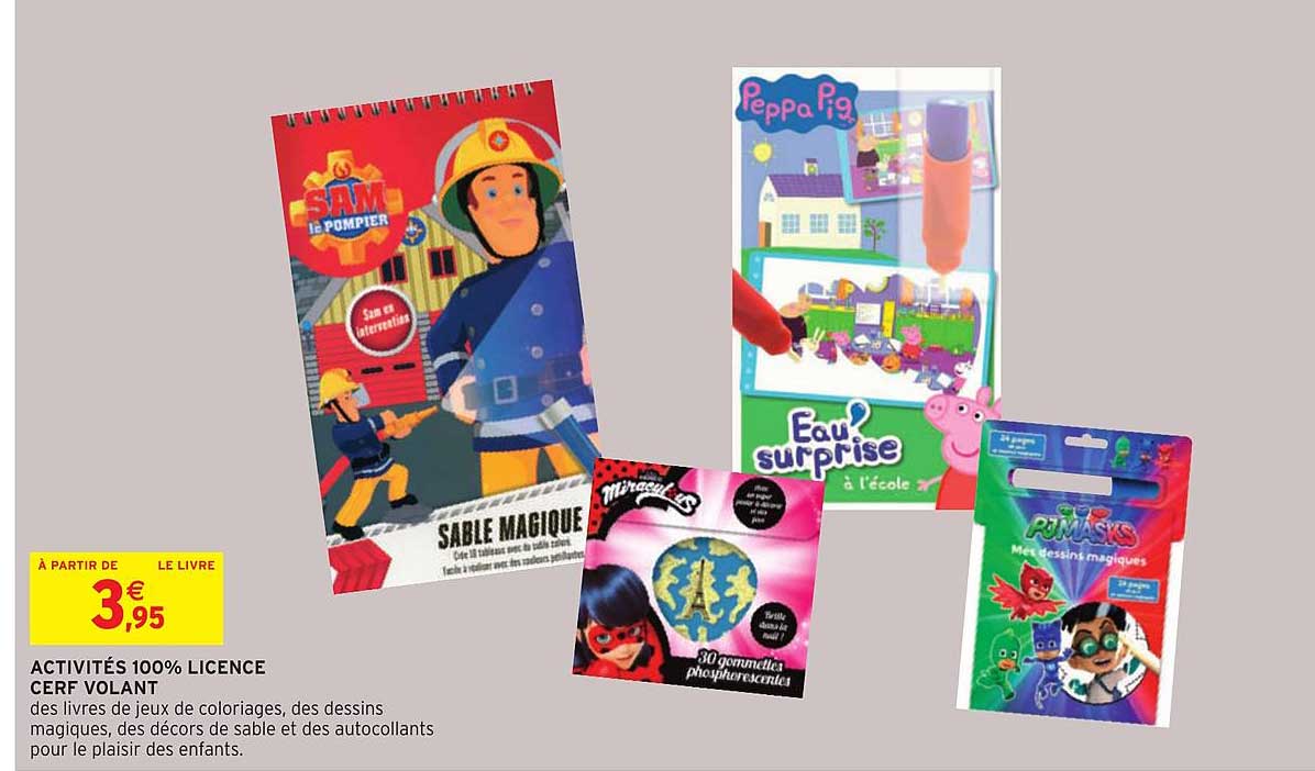 Activités 100% Licence Cerf Volant