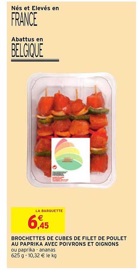 Brochettes De Cubes De Filet De Poulet Au Paprika Avec Poivrons Et Oignons