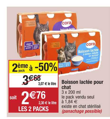boisson lactée pour chat