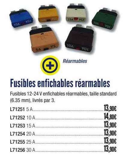 fusibles enfichables réarmables