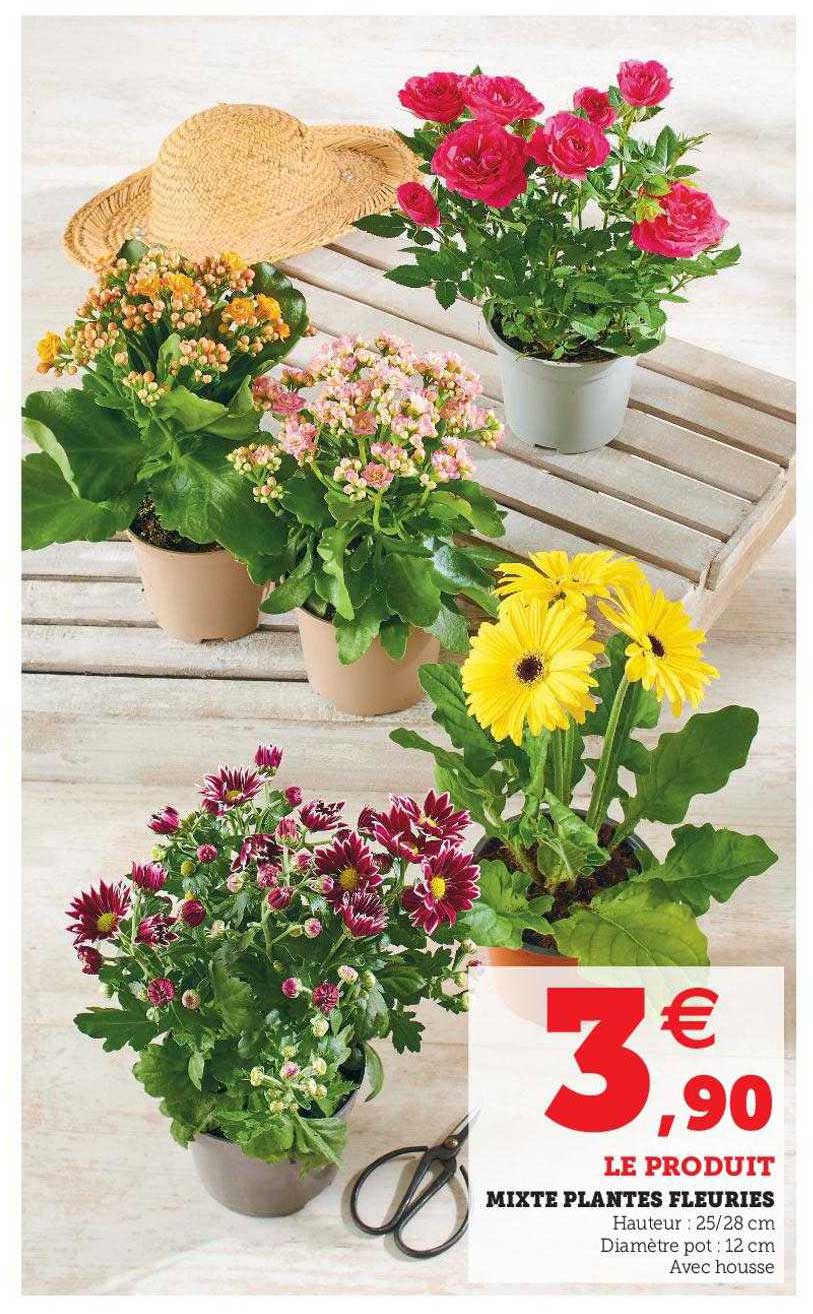 mixte plantes fleuries