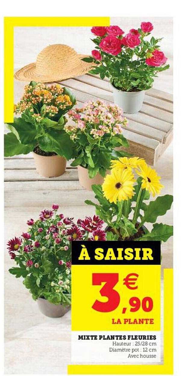 mixte plantes fleuries