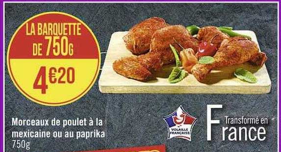 morceau de poulet à la mexicaine ou au paprika