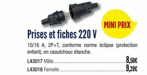 Prises Et Fiches 220 V