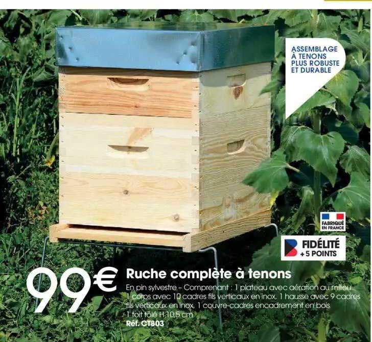 ruche complète à tenons