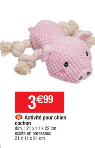 activité pour chien cochon