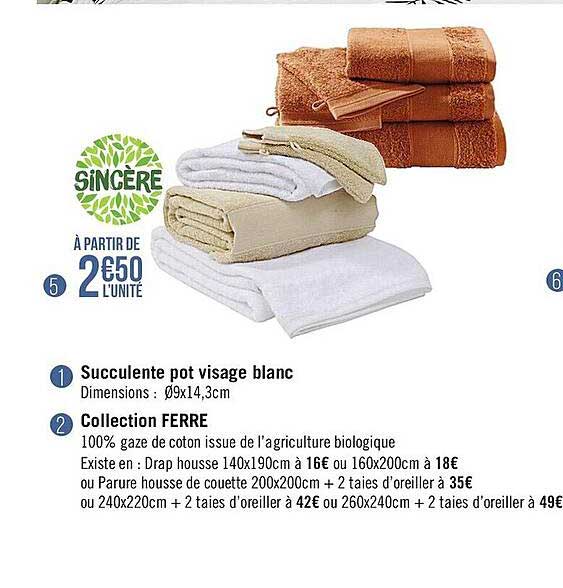 succulente pot visage blanc, collection ferre sincère