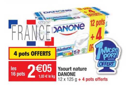 yaourt nature danone 4 pots offerts