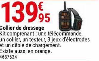 collier de dressage