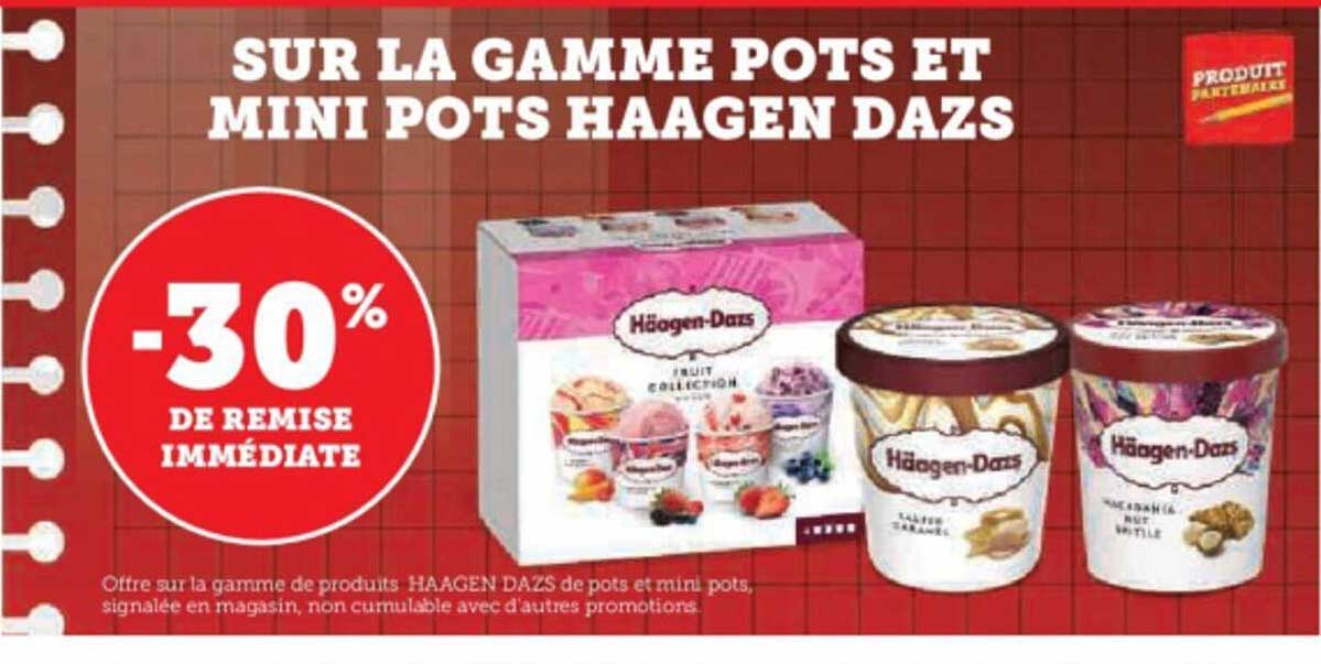la gamme pots et mini pots haagen dazs