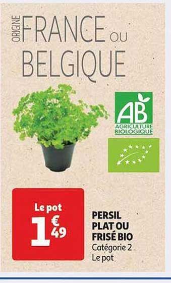 persil plat ou frisé bio