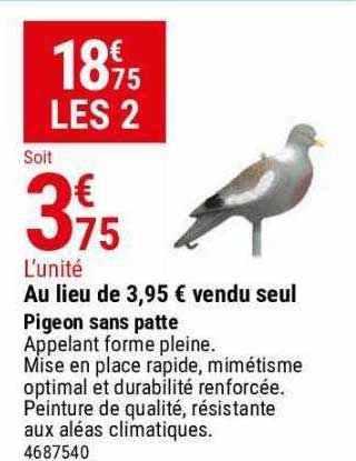 pigeon sans patte