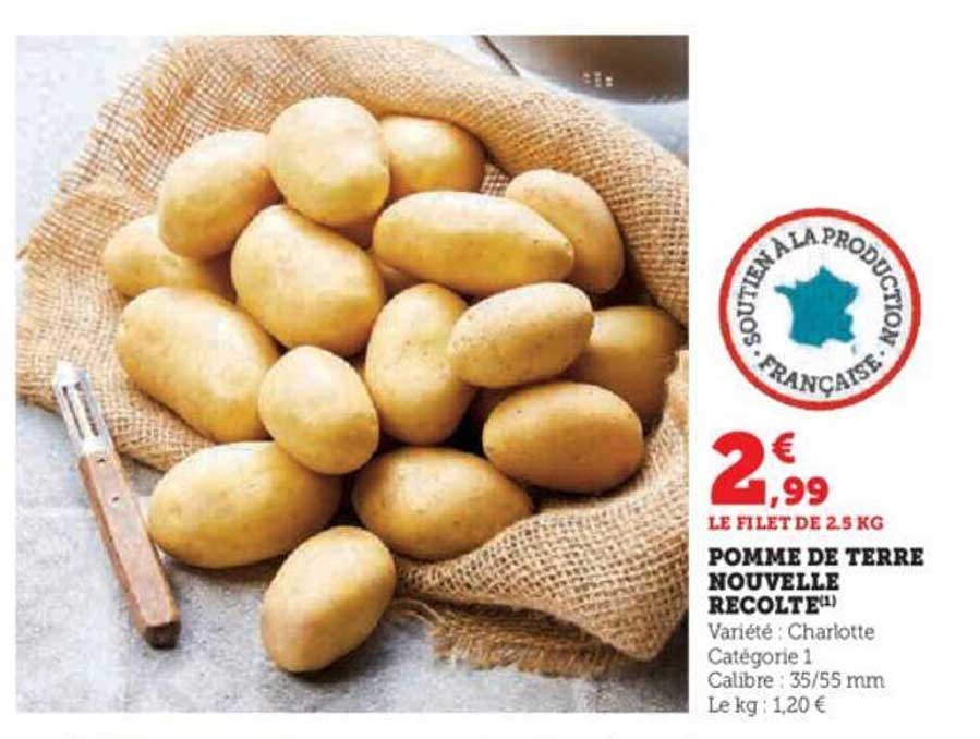 pomme de terre nouvelle récolte