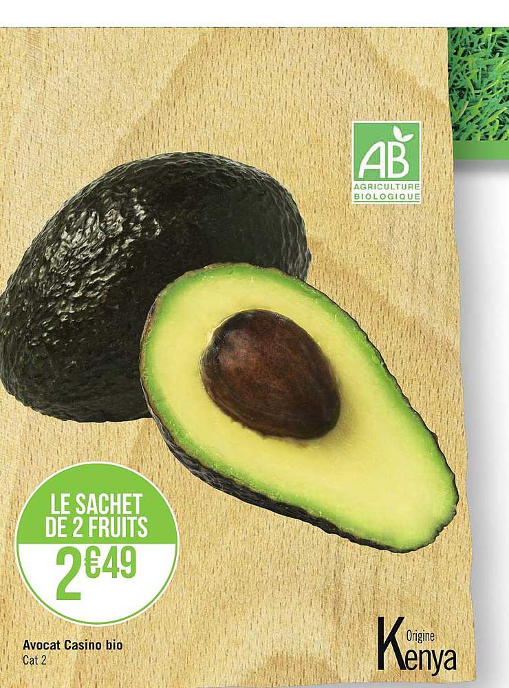 Avocat Casino Bio