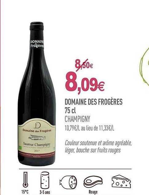 Domaine Des Frogères Champigny