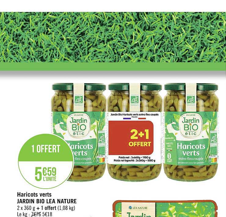 Haricots Verts Jardin Bio Lea Nature