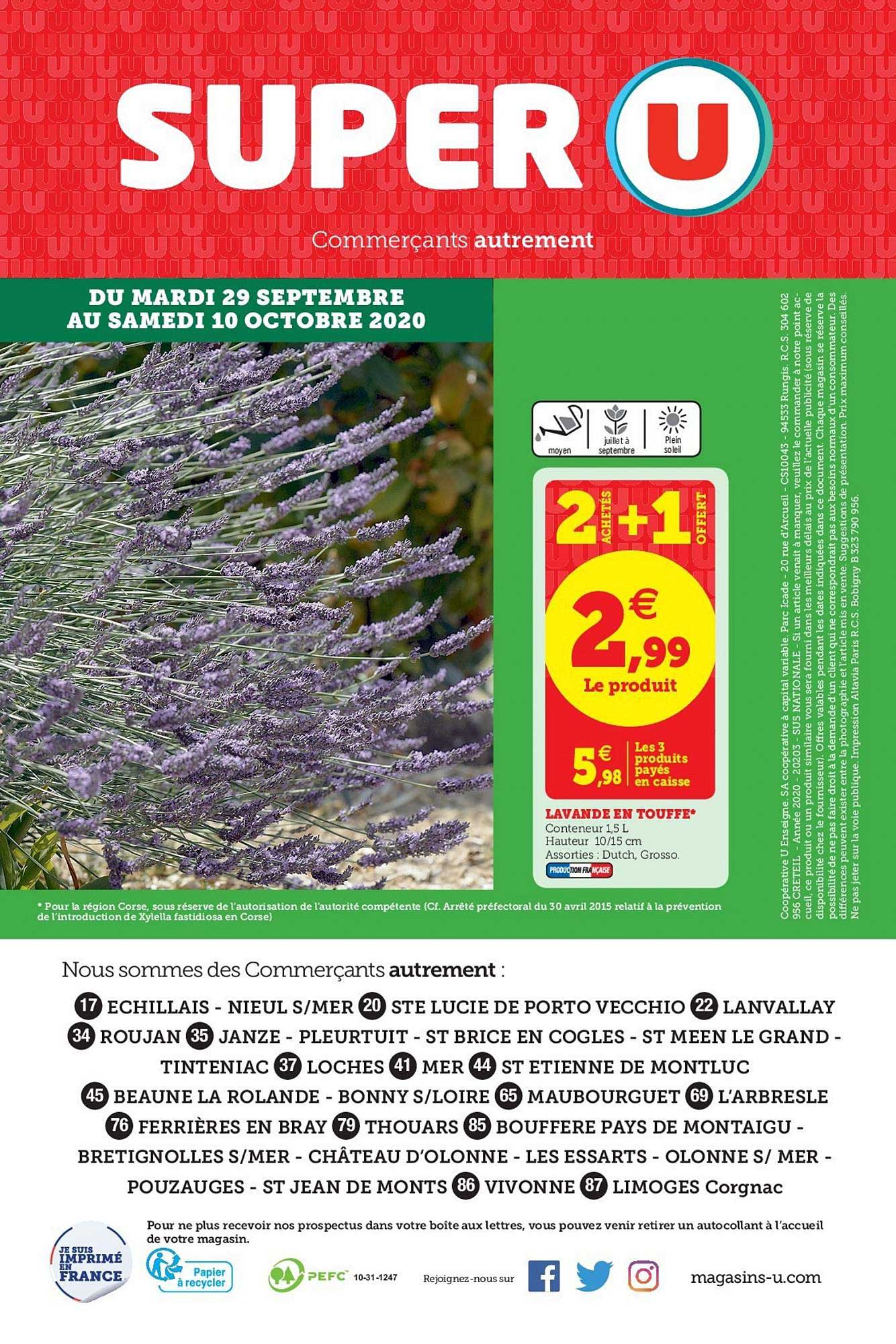 lavande en touffe 2 achetés + 1 offert