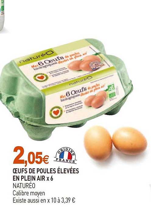 œufs de poules élevées en plein aire x6