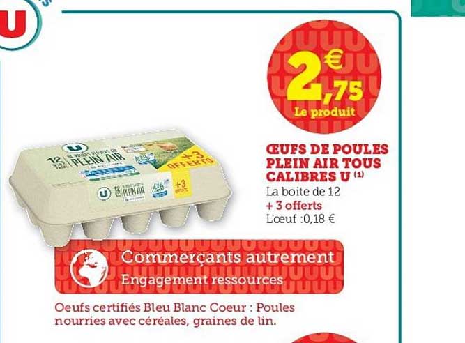 œufs de poules plein air tous calibres u