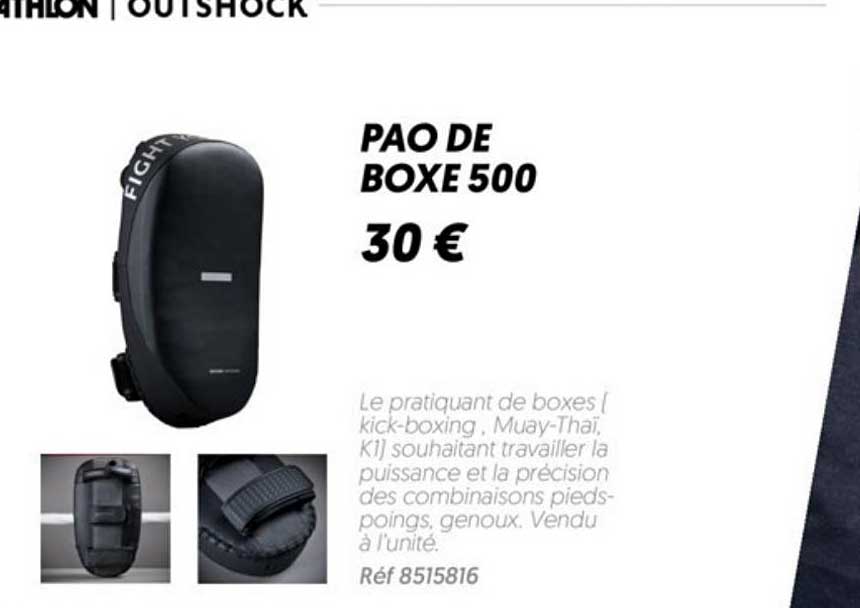 pao de boxe 500