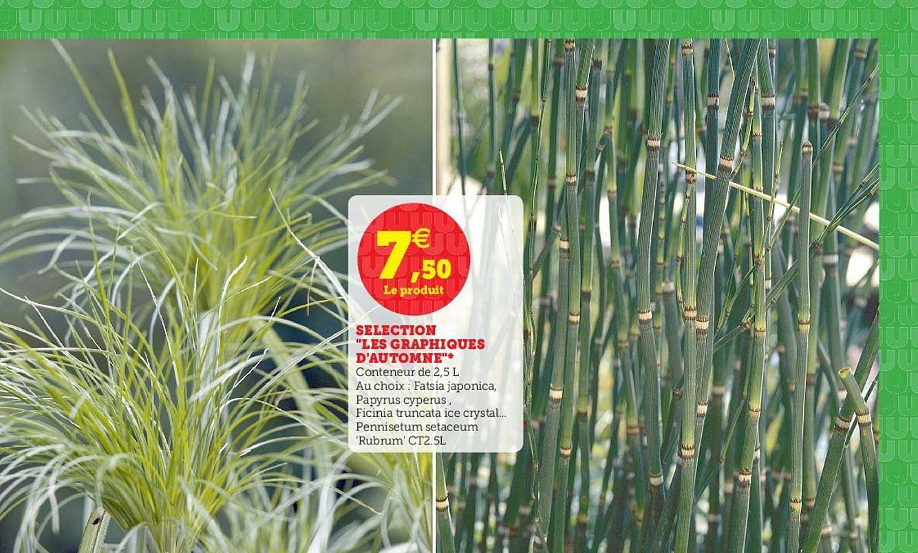 sélection "les graphiques d'automne"