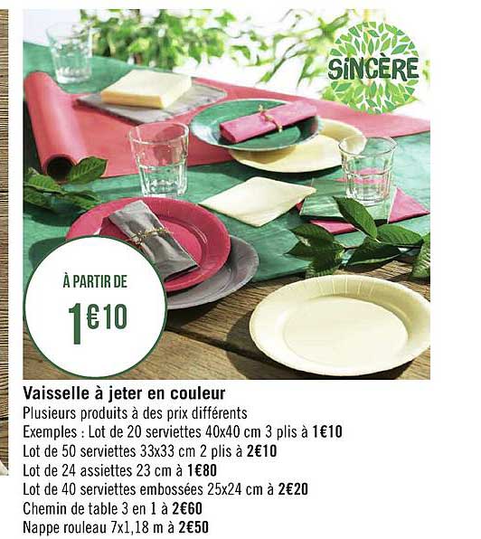 vaisselle à jeter en couleur sincère