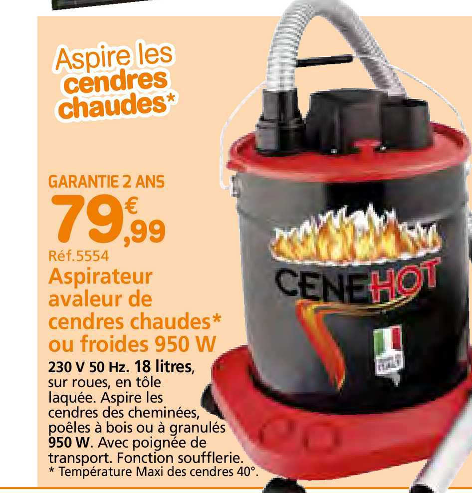 aspirateur avaleur de cendres chaudes ou froides 950 w