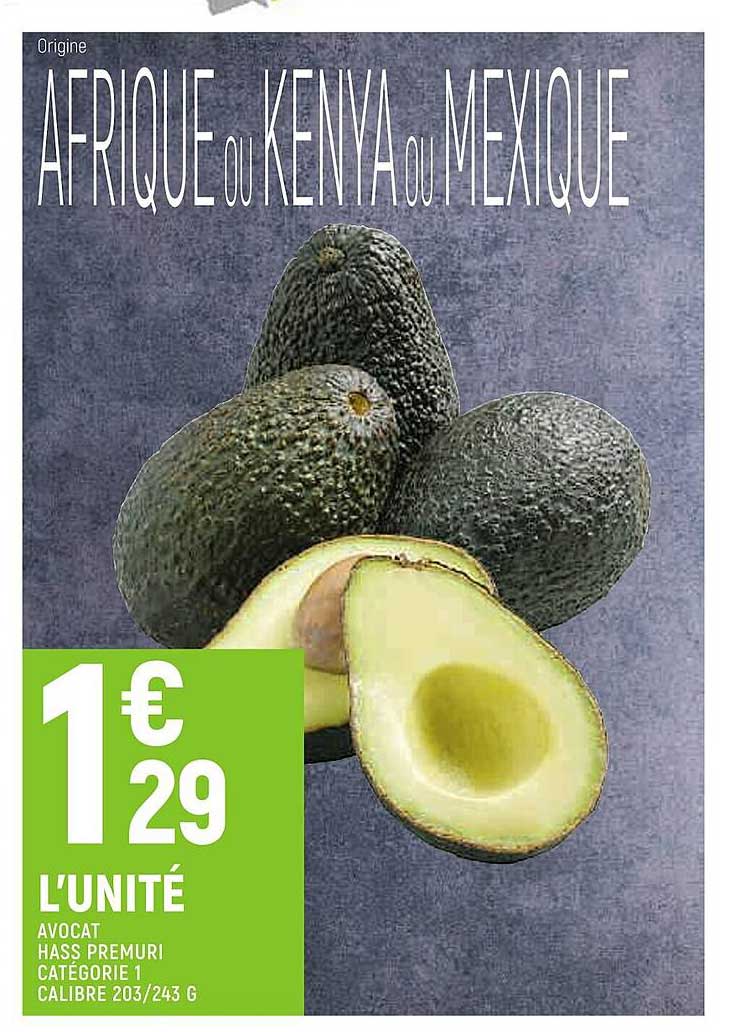 Avocat Hass Premuri