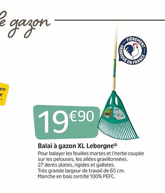 Balai à Gazon Xl Leborgne