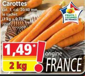 Carottes