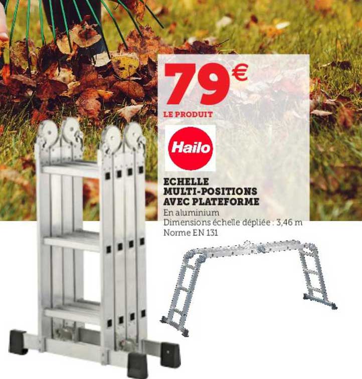 échelle multi-positions avec plateforme