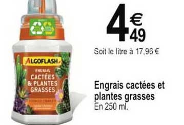 engrais cactées et plantes grasses