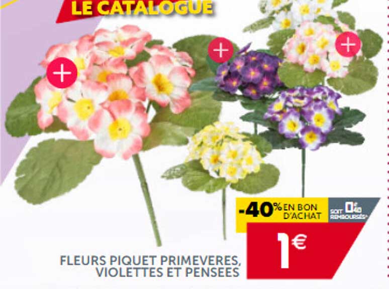 Fleurs Piquet Primevères, Violettes Et Pensées