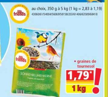 graines de tournesol little friends