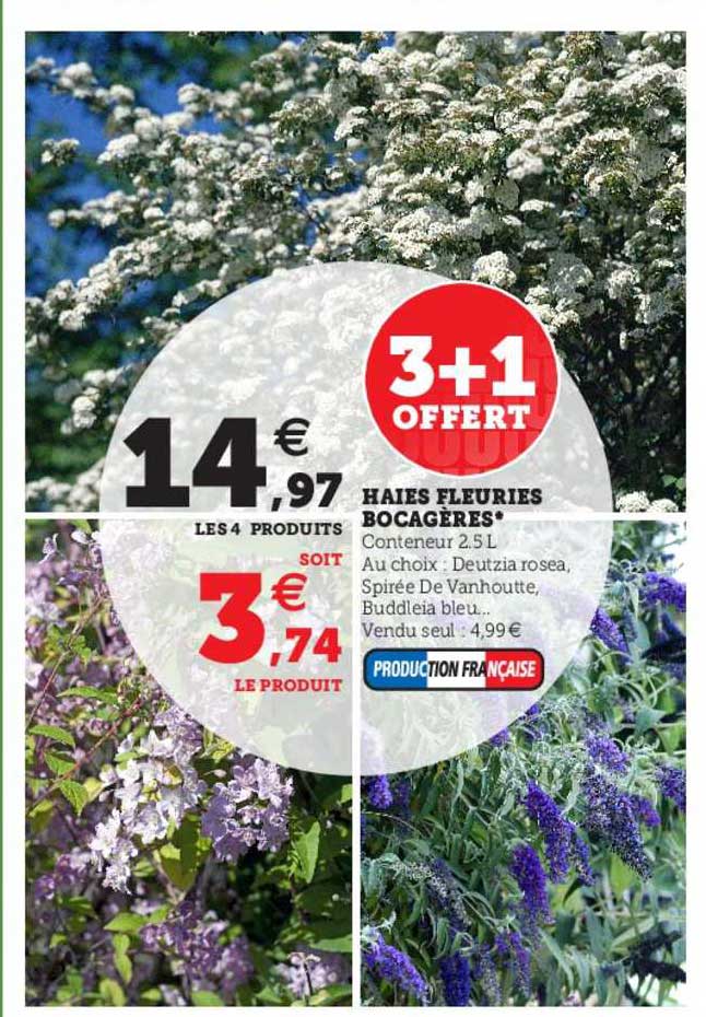 haies fleuries bocagères