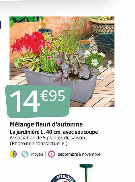 mélange fleuri d'automne la jardinière l. 40 cm avec soucoupe
