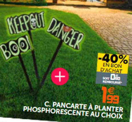 pancarte à planter phosphorescente au choix