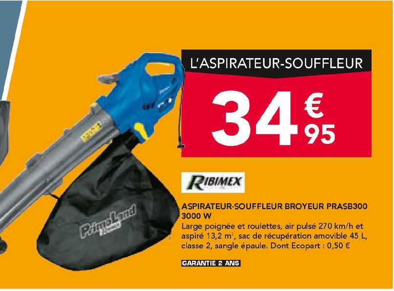 ribimex aspirateur-souffleur broyeur prasb300 3000 w