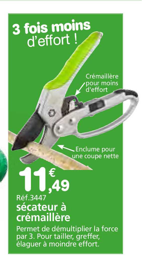 Sécateur à Crémaillère