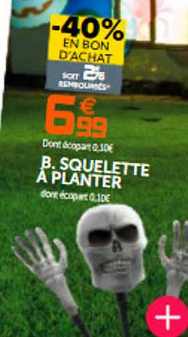 squelette à planter