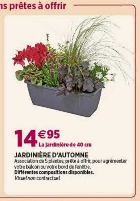 jardinière d'automne